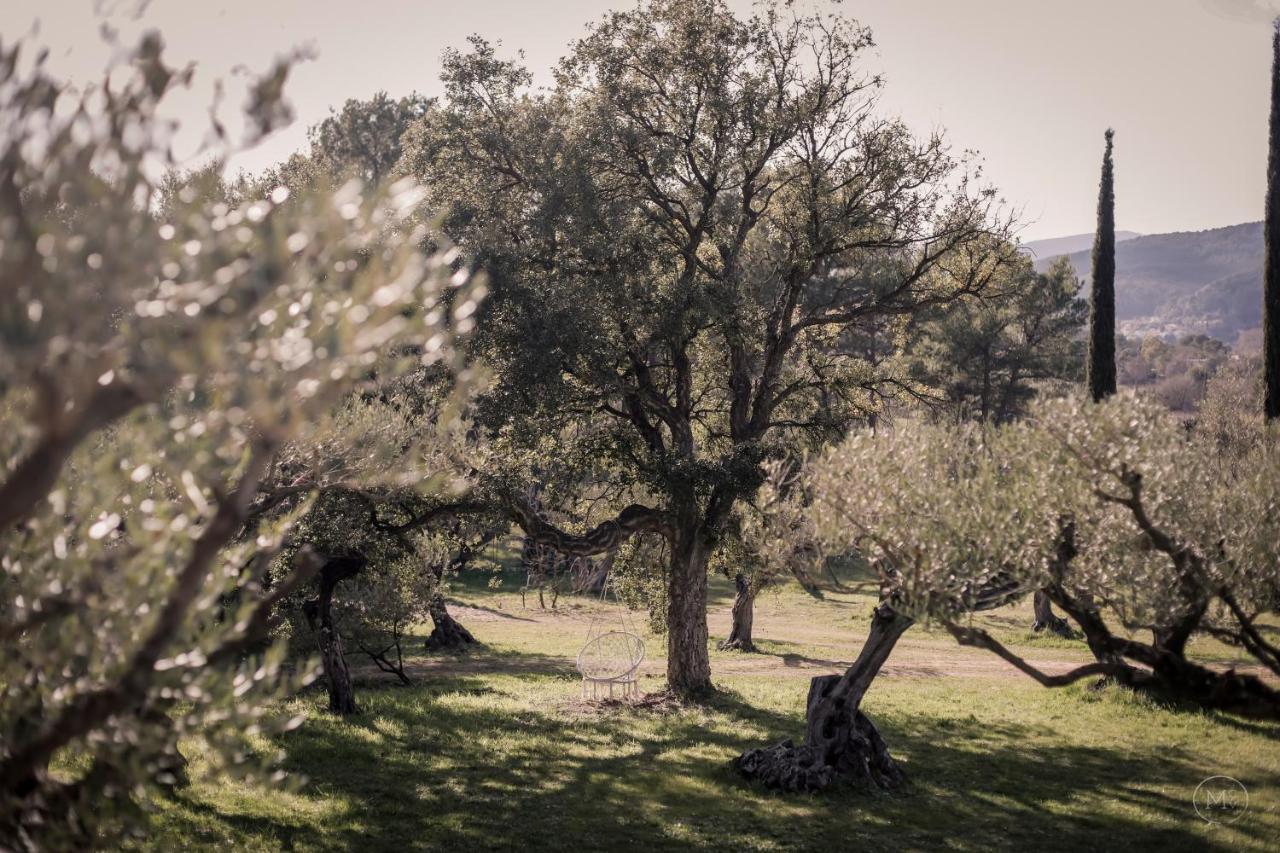 Les Hauts De Diane, Cuers Var 외부 사진